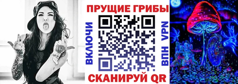 Псилоцибиновые грибы прущие грибы  Кисловодск 