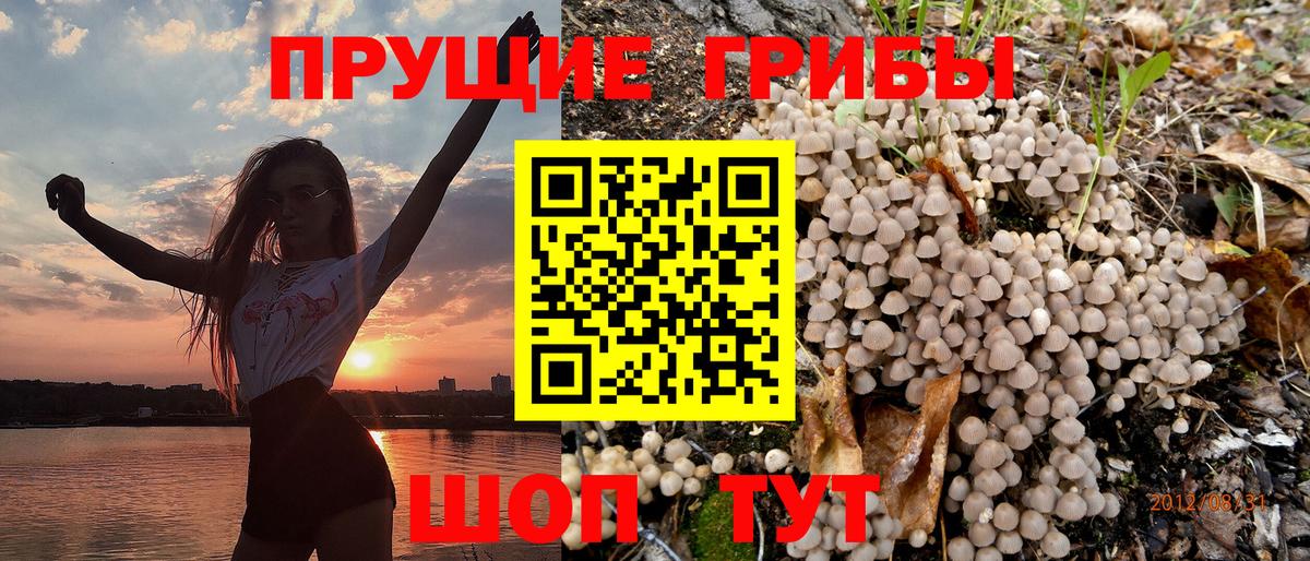 Псилоцибиновые грибы ЛСД Кисловодск