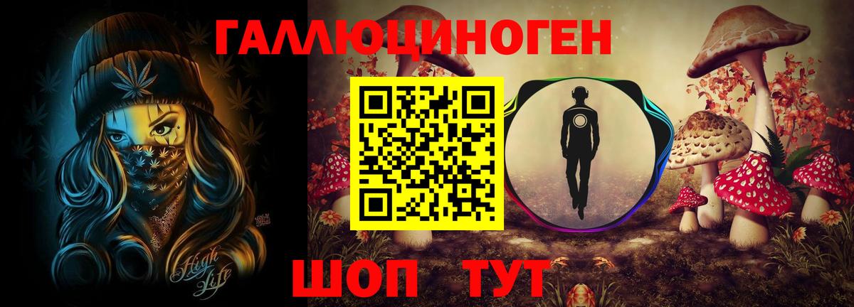 Псилоцибиновые грибы MAGIC MUSHROOMS  Вход с VPN  Кисловодск 
